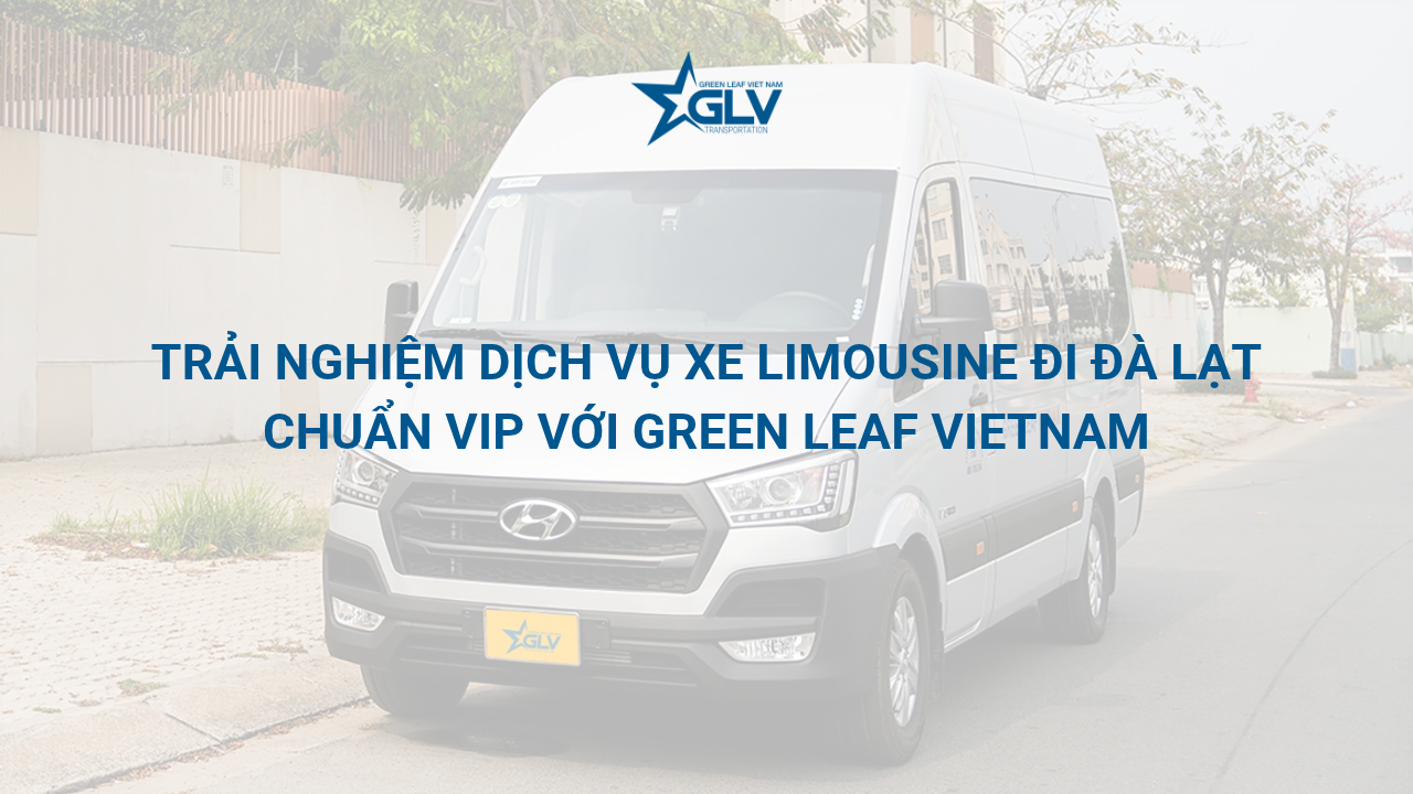 Trải nghiệm xe limousine đi Đà Lạt chuẩn VIP với Green Leaf Vietnam